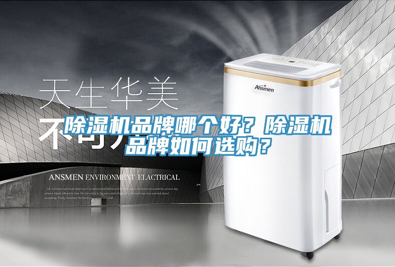 91看片网站品牌哪個好？91看片网站品牌如何選購？