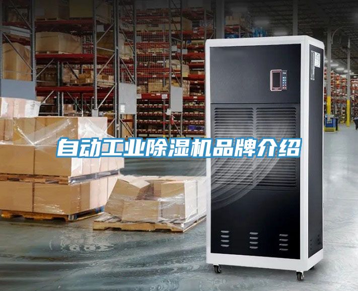 自動工業91看片网站品牌介紹