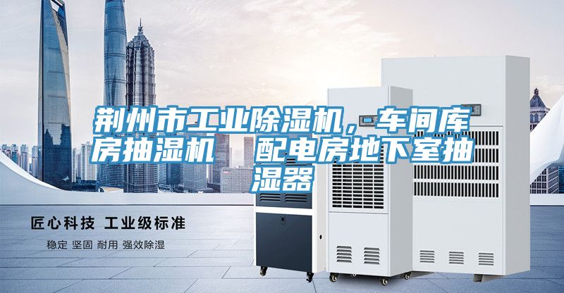 荊州市工業91看片网站，車間庫房抽濕機  配電房地下室抽濕器