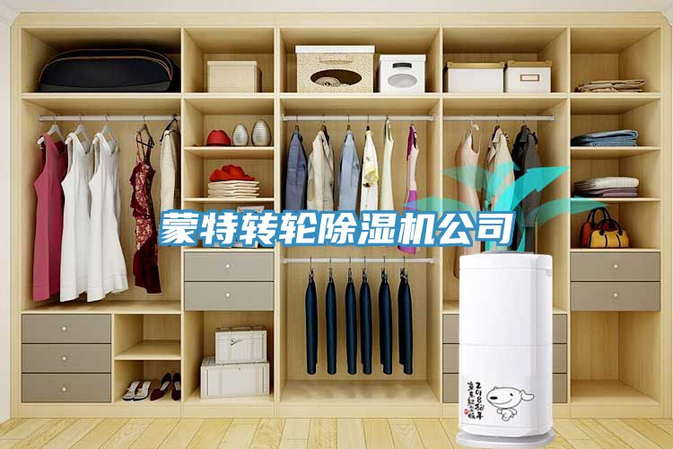 蒙特轉輪91看片网站公司