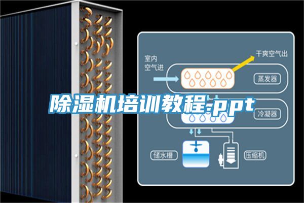 91看片网站培訓教程.ppt