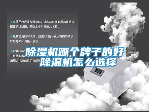 91看片网站哪個牌子的好 91看片网站怎麽選擇