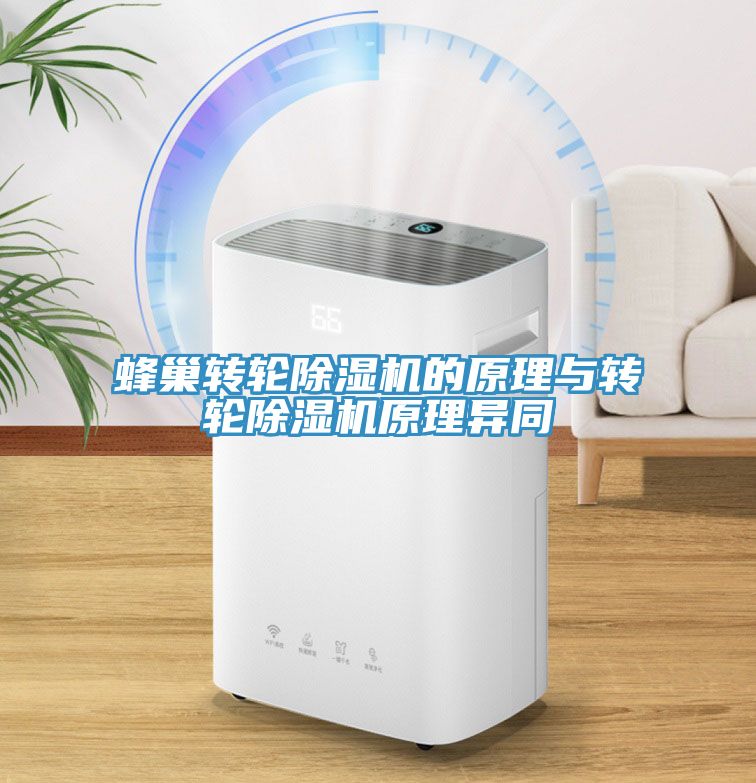 蜂巢轉輪91看片网站的原理與轉輪91看片网站原理異同