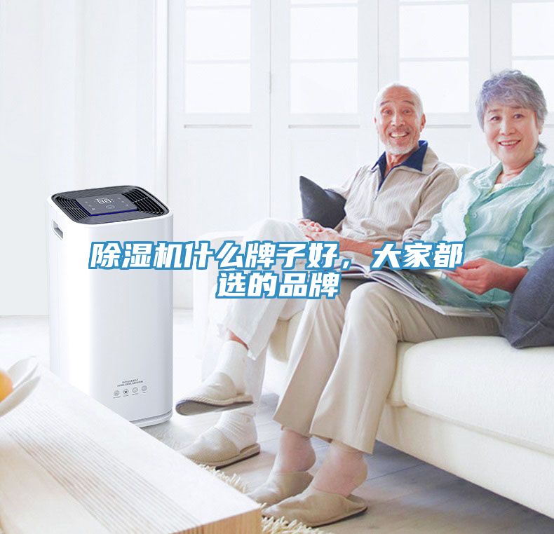 91看片网站什麽牌子好，大家都選的品牌