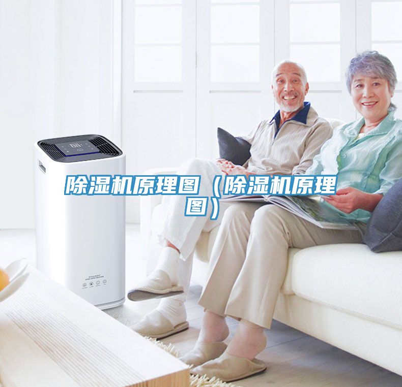 91看片网站原理圖（91看片网站原理圖）