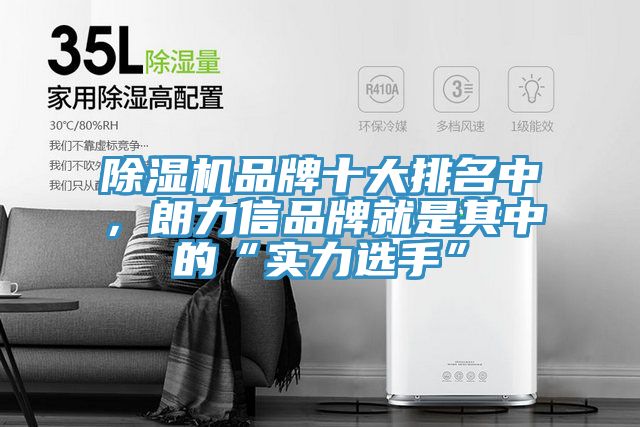 91看片网站品牌十大排名中，朗力信品牌就是其中的“實力選手”