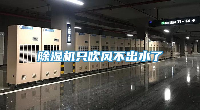 91看片网站隻吹風不出水了