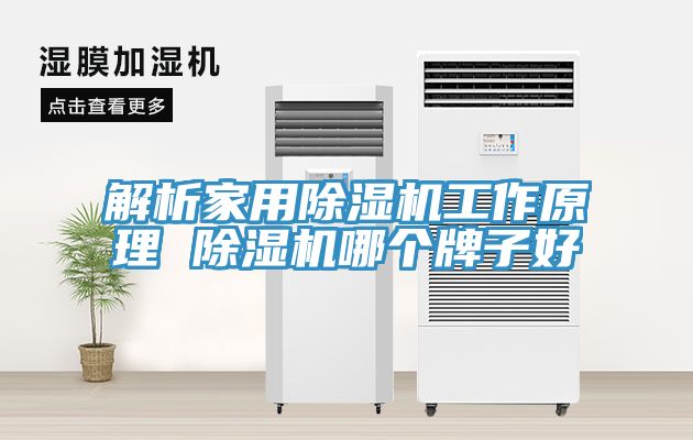 解析家用91看片网站工作原理 91看片网站哪個牌子好