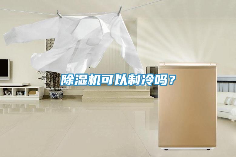 91看片网站可以製冷嗎？
