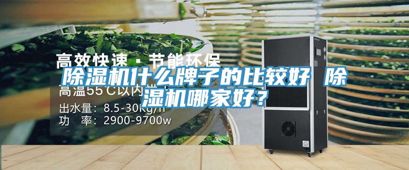 91看片网站什麽牌子的比較好 91看片网站哪家好？