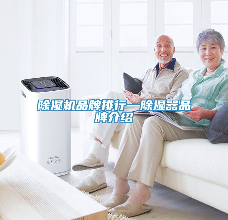 91看片网站品牌排行—除濕器品牌介紹