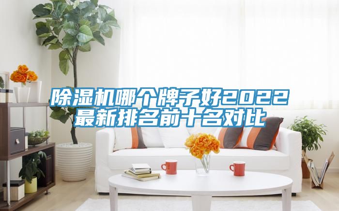 91看片网站哪個牌子好2022最新排名前十名對比