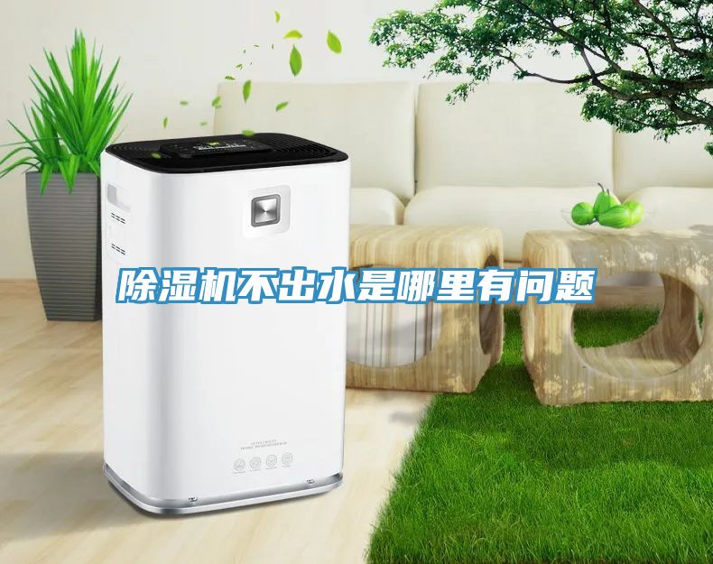 91看片网站不出水是哪裏有問題