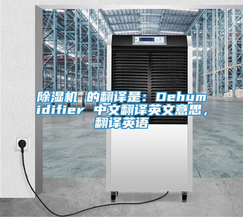 91看片网站 的翻譯是：Dehumidifier 中文翻譯英文意思，翻譯英語