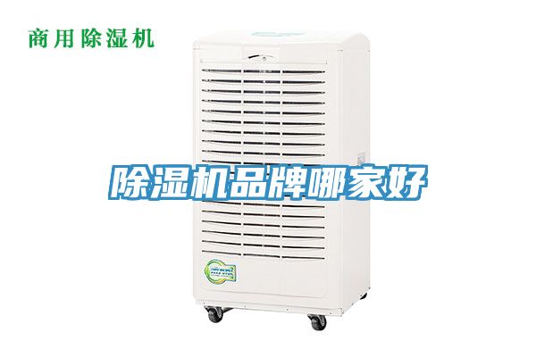 91看片网站品牌哪家好