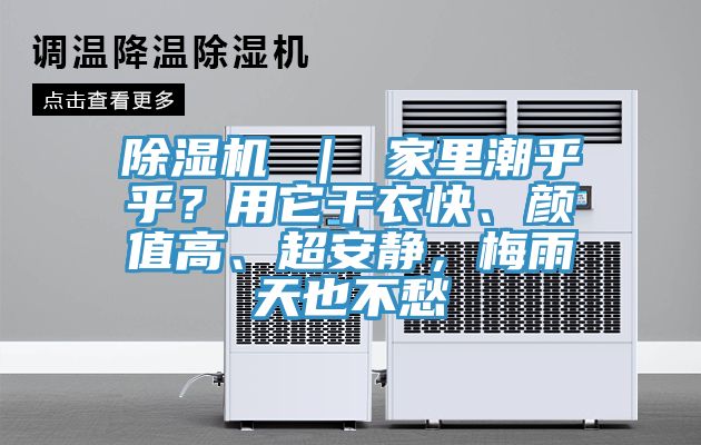 91看片网站 ｜ 家裏潮乎乎？用它幹衣快、顏值高、超安靜，梅雨天也不愁