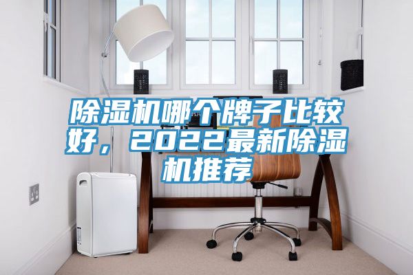 91看片网站哪個牌子比較好，2022最新91看片网站推薦