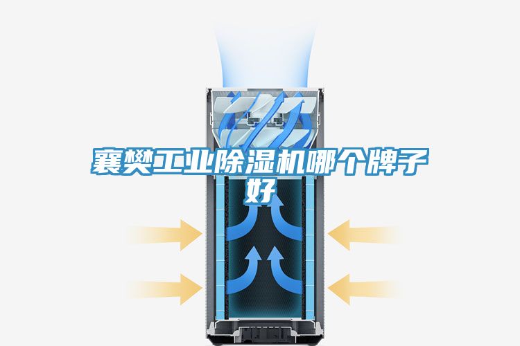 襄樊工業91看片网站哪個牌子好