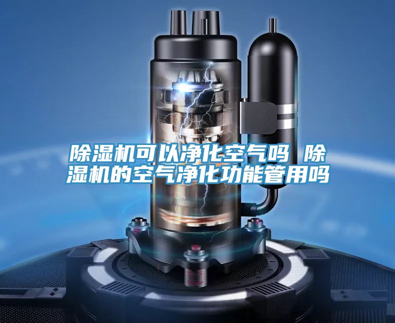 91看片网站可以淨化空氣嗎 91看片网站的空氣淨化功能管用嗎