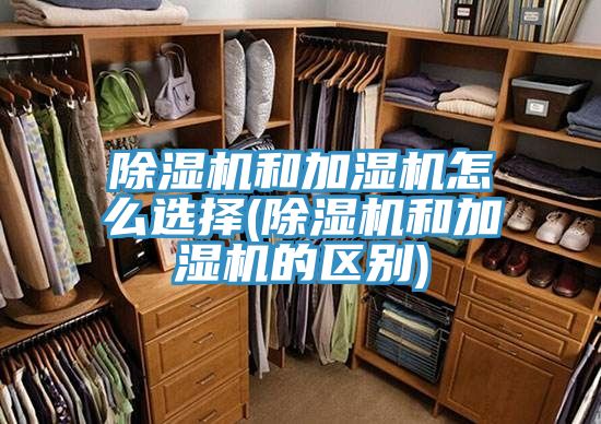 91看片网站和加濕機怎麽選擇(91看片网站和加濕機的區別)