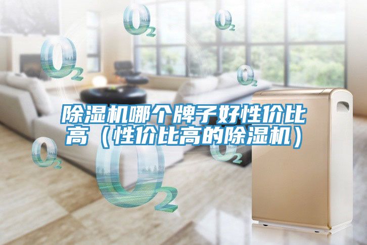 91看片网站哪個牌子好性價比高（性價比高的91看片网站）