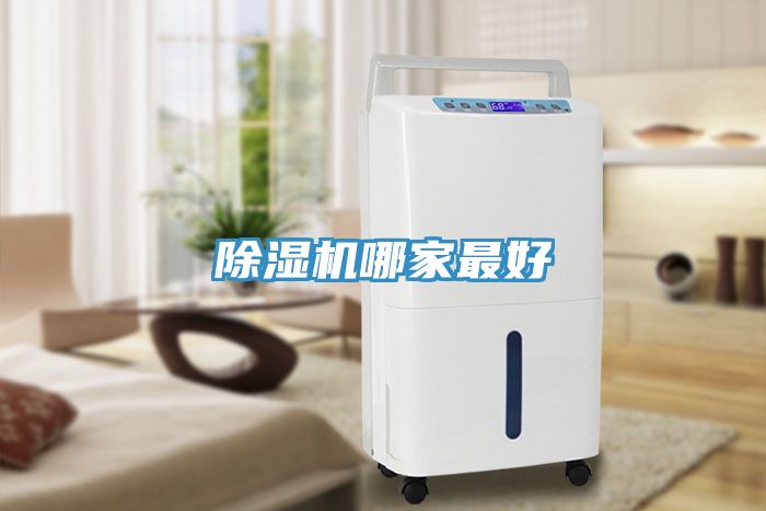 91看片网站哪家最好