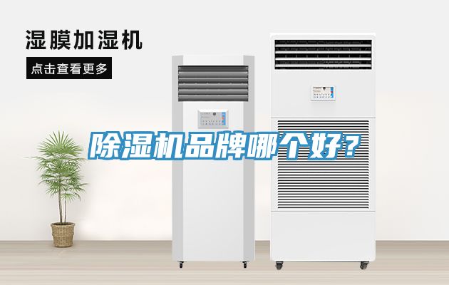 91看片网站品牌哪個好？
