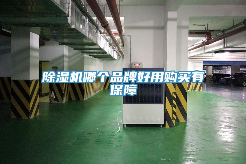 91看片网站哪個品牌好用購買有保障