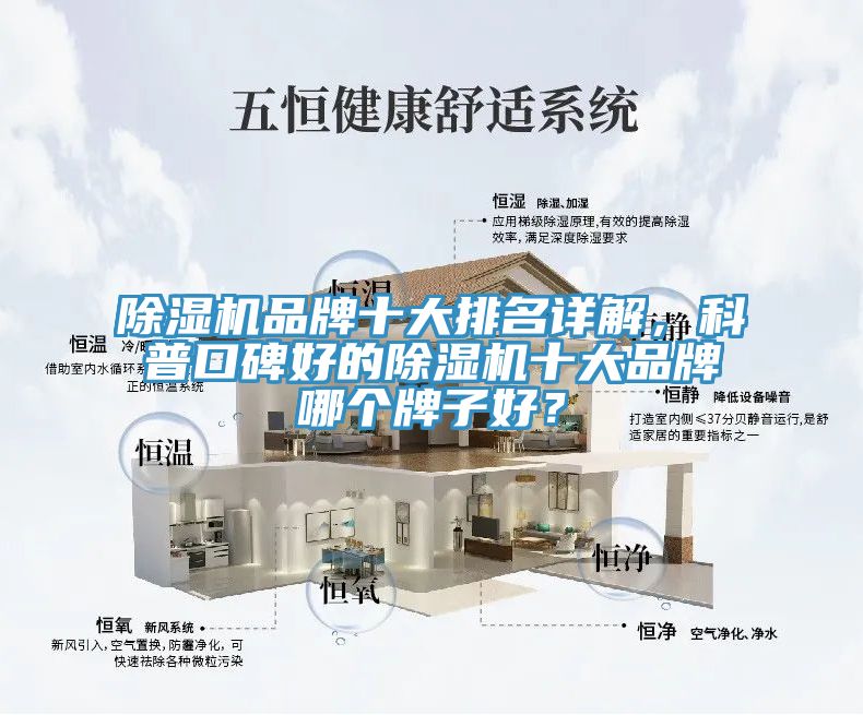 91看片网站品牌十大排名詳解，科普口碑好的91看片网站十大品牌哪個牌子好？