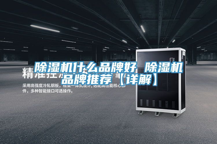 91看片网站什麽品牌好 91看片网站品牌推薦【詳解】