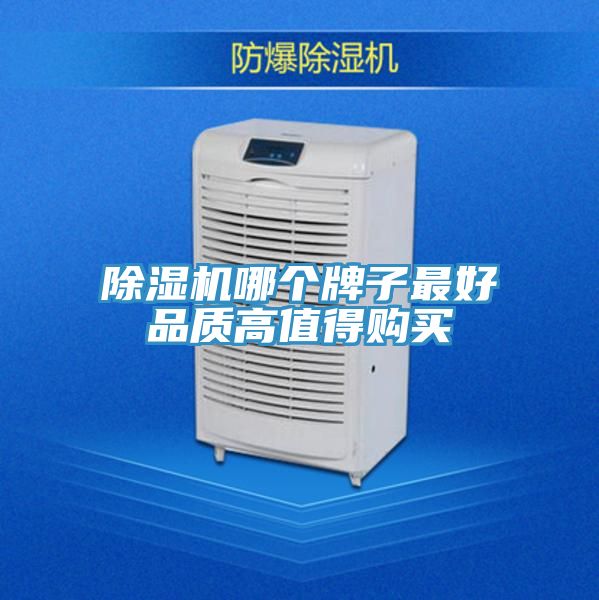 91看片网站哪個牌子最好品質高值得購買