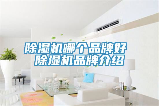 91看片网站哪個品牌好 91看片网站品牌介紹