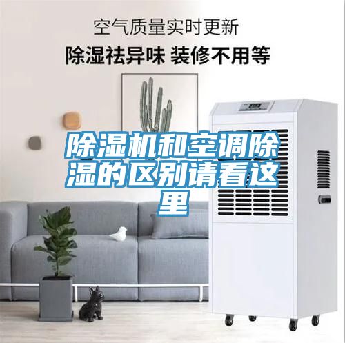 91看片网站和空調除濕的區別請看這裏