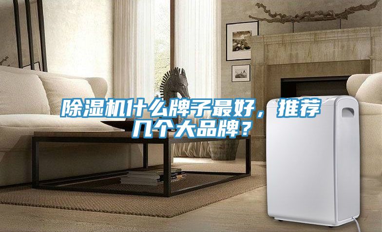 91看片网站什麽牌子最好，推薦幾個大品牌？