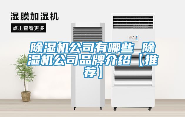 91看片网站公司有哪些 91看片网站公司品牌介紹【推薦】