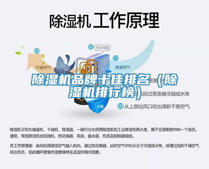 91看片网站品牌十佳排名（91看片网站排行榜）
