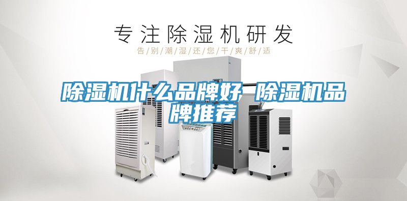 91看片网站什麽品牌好 91看片网站品牌推薦