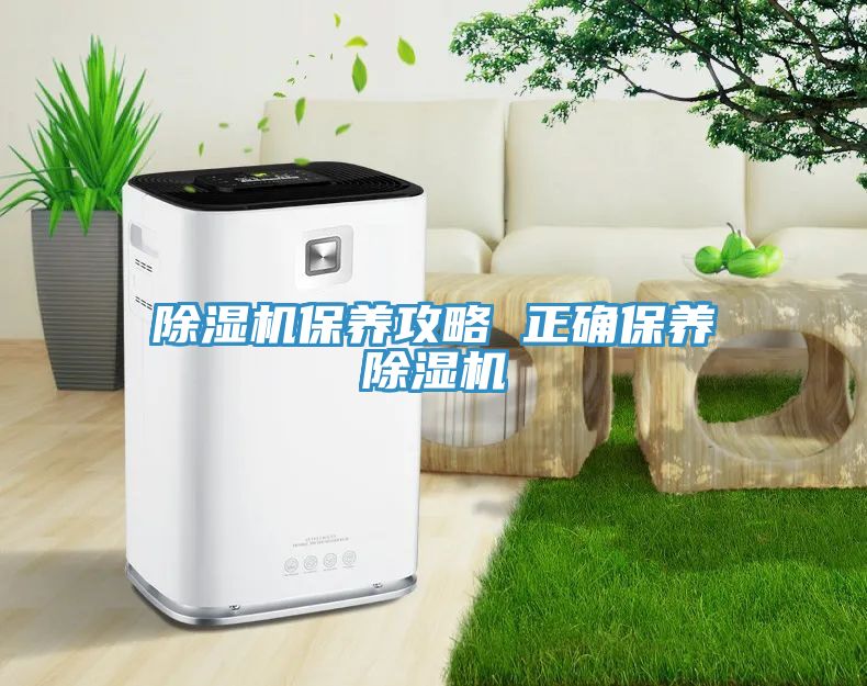 91看片网站保養攻略 正確保養91看片网站
