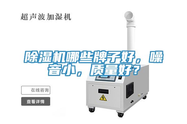 91看片网站哪些牌子好，噪音小，質量好？