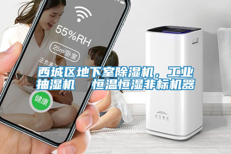 西城區地下室91看片网站，工業抽濕機  恒溫恒濕非標機器