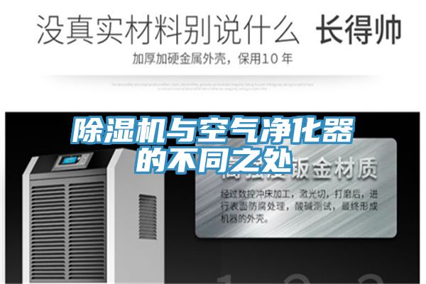 91看片网站與空氣淨化器的不同之處