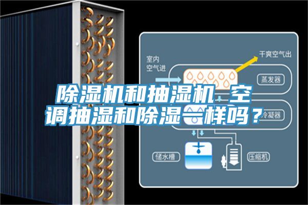 91看片网站和抽濕機 空調抽濕和除濕一樣嗎？