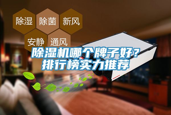91看片网站哪個牌子好？排行榜實力推薦