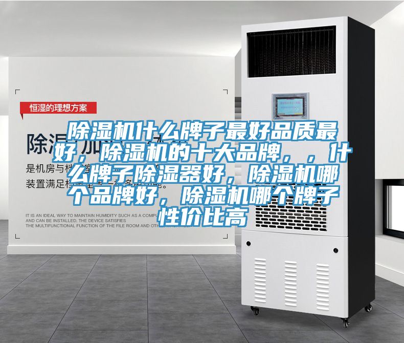 91看片网站什麽牌子最好品質最好，91看片网站的十大品牌，，什麽牌子除濕器好，91看片网站哪個品牌好，91看片网站哪個牌子性價比高