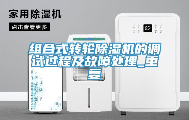 組合式轉輪91看片网站的調試過程及故障處理_重複