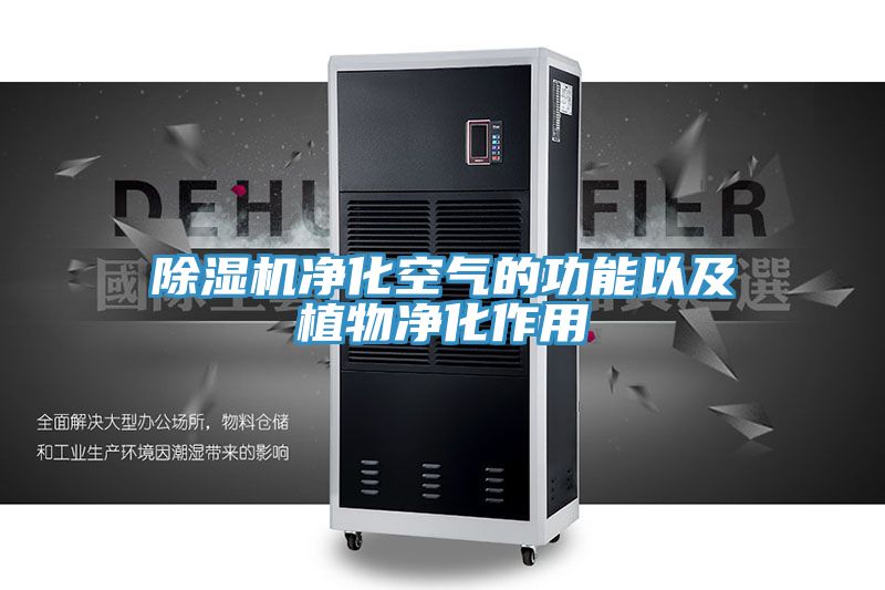 91看片网站淨化空氣的功能以及植物淨化作用