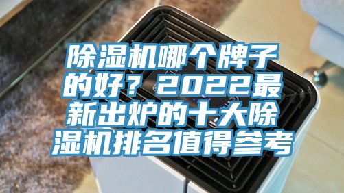 91看片网站哪個牌子的好？2022最新出爐的十大91看片网站排名值得參考