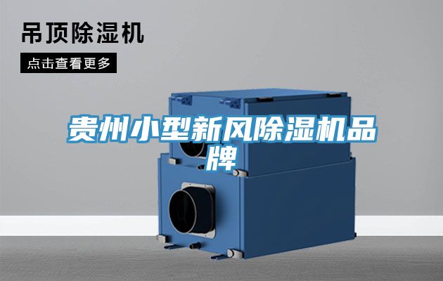 貴州小型新風91看片网站品牌