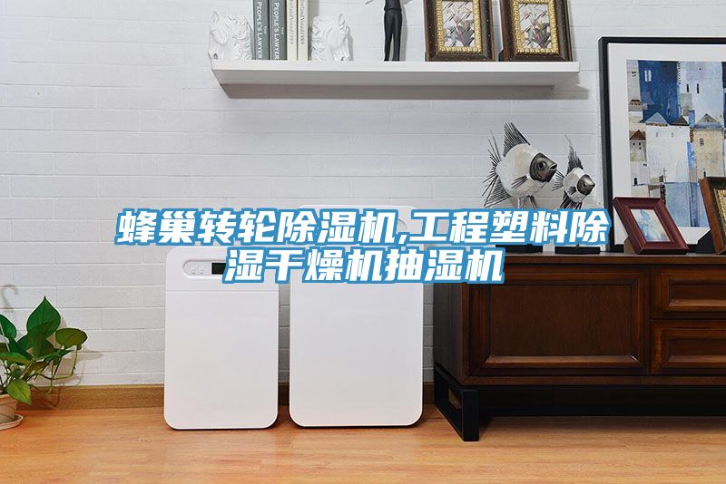 蜂巢轉輪91看片网站,工程塑料除濕幹燥機抽濕機