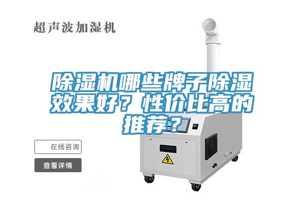 91看片网站哪些牌子除濕效果好？性價比高的推薦？